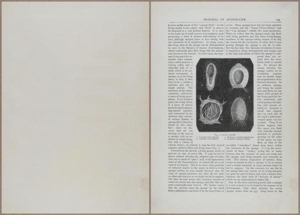 E804 - Wonders of the Universe - 1885 - 13732-13733