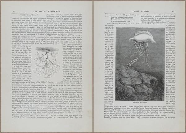 E804 - Wonders of the Universe - 1885 - 13759-13760
