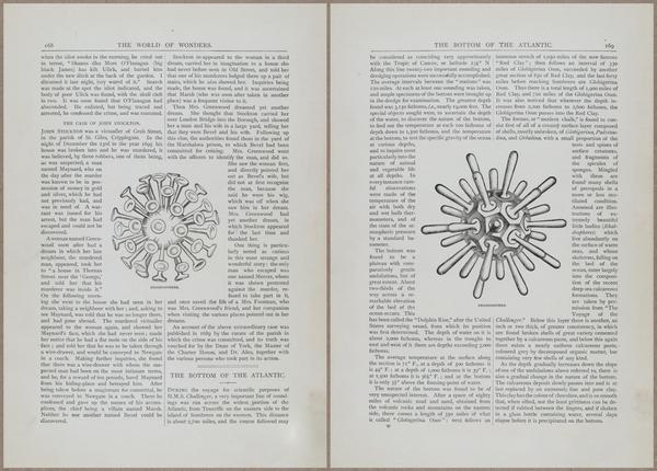 E804 - Wonders of the Universe - 1885 - 13767-13768
