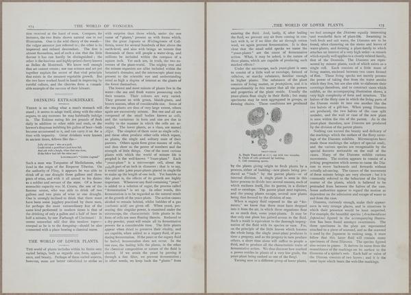 E804 - Wonders of the Universe - 1885 - 13773-13774