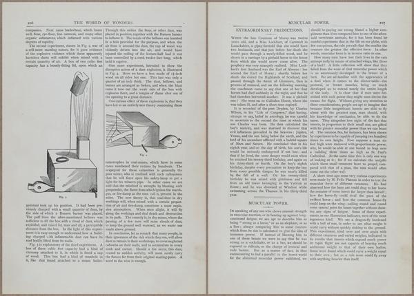 E804 - Wonders of the Universe - 1885 - 13807-13808