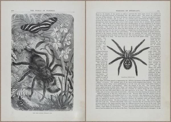E804 - Wonders of the Universe - 1885 - 13821-13822