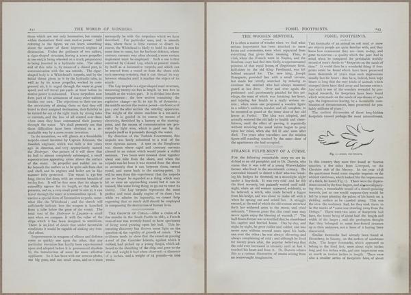 E804 - Wonders of the Universe - 1885 - 13860-13861