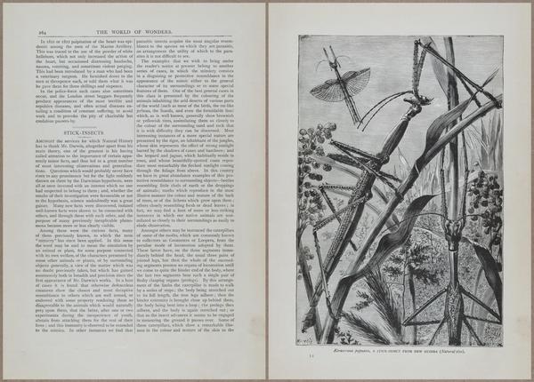 E804 - Wonders of the Universe - 1885 - 13882-13883