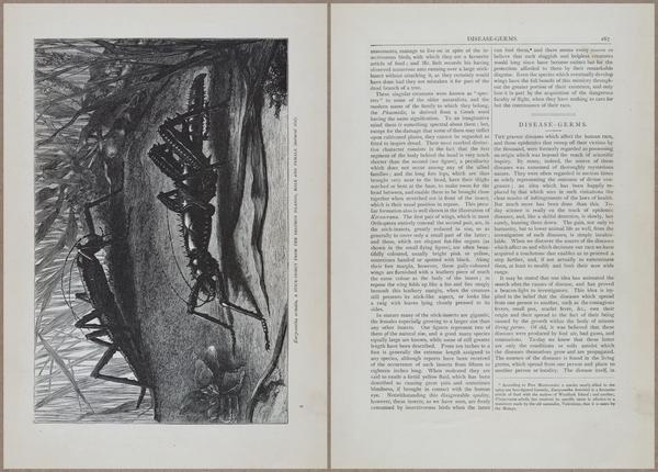 E804 - Wonders of the Universe - 1885 - 13886-13887