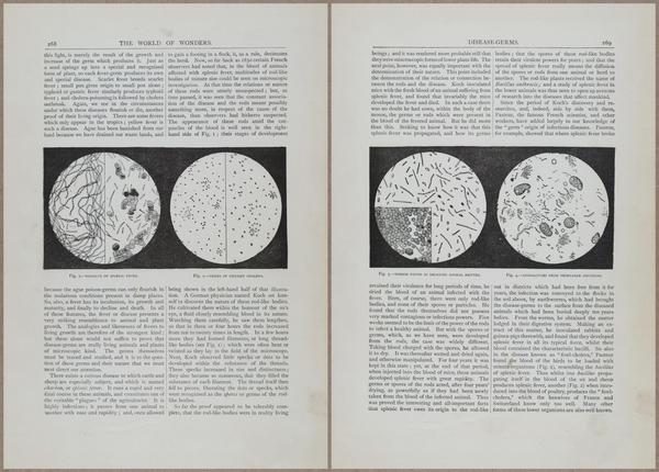 E804 - Wonders of the Universe - 1885 - 13888-13889