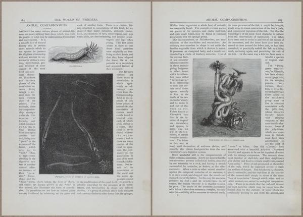 E804 - Wonders of the Universe - 1885 - 13785-13786