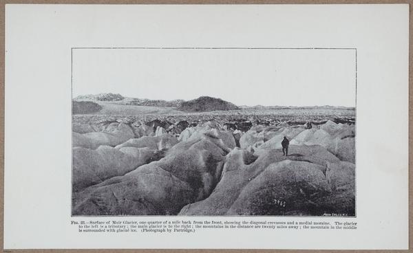 E801 - Ice Age - i13440