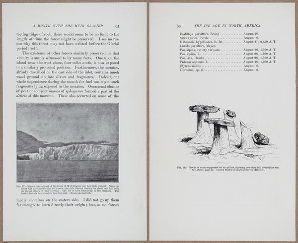 E801 - Ice Age - i13444-13445