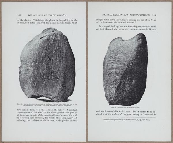 E801 - Ice Age - i13480-13481