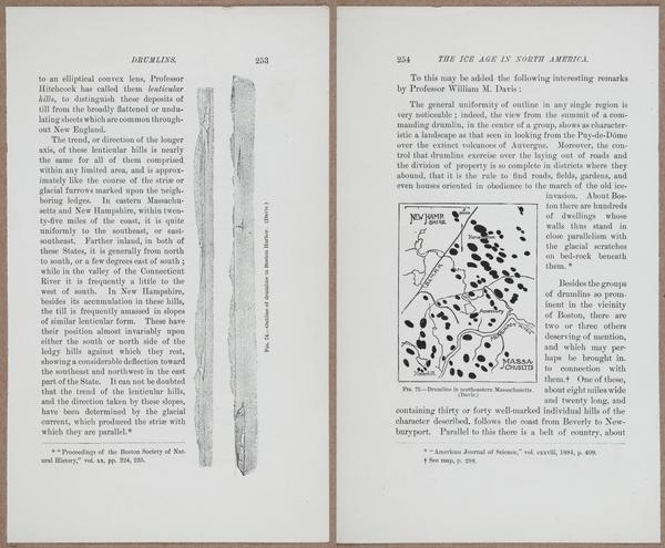 E801 - Ice Age - i13493-13494