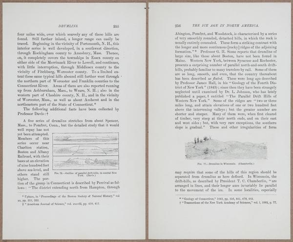 E801 - Ice Age - i13495-13496