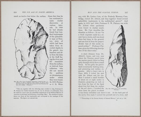 E801 - Ice Age - i13545-13546