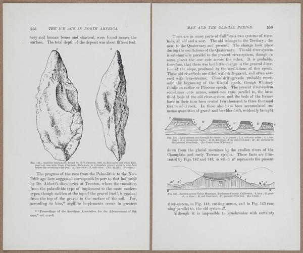 E801 - Ice Age - i13563-13564