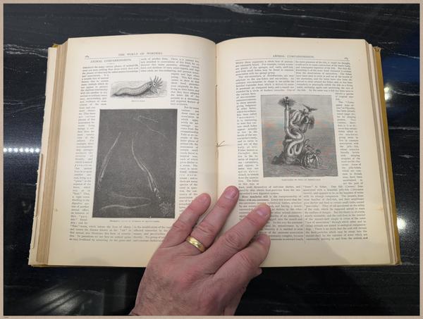 E804 - Wonders of the Universe - 1885 - 2507