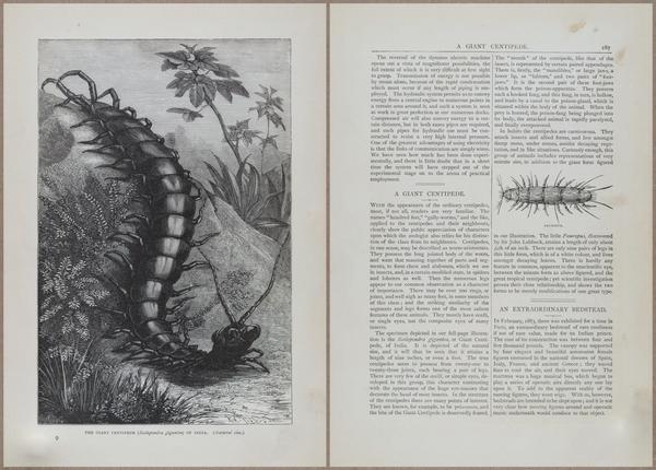 E804 - Wonders of the Universe - 1885 - 13909-13910