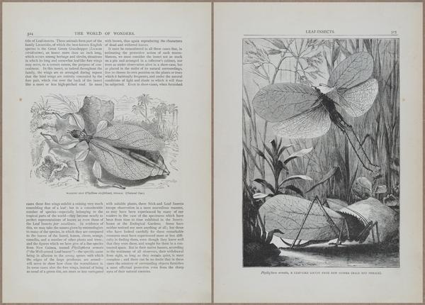 E804 - Wonders of the Universe - 1885 - 13947-13948