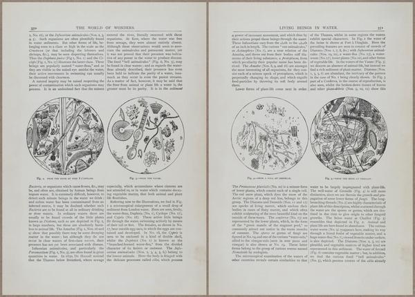 E804 - Wonders of the Universe - 1885 - 13973-13974