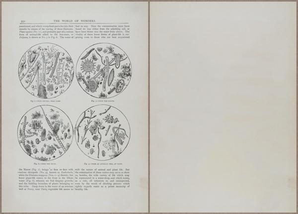E804 - Wonders of the Universe - 1885 - 13975-13976