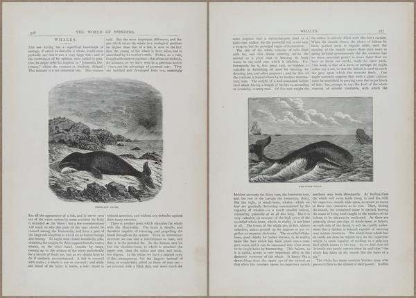 E804 - Wonders of the Universe - 1885 - 13981-13982
