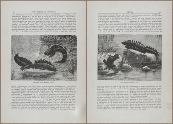 E804 - Wonders of the Universe - 1885 - 14016-14017